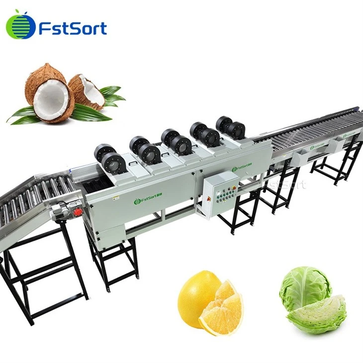 Coconut Drying Sorting Machine factory