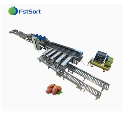 Line de emballage automatique complètement pour les Dates de Limes