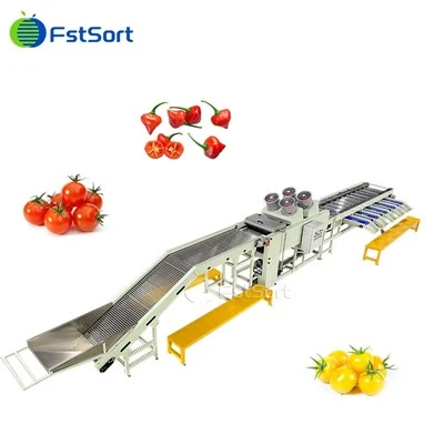 Fstsort Machine de travailment du cerise de qualité supérieure Machine de classement de légumes